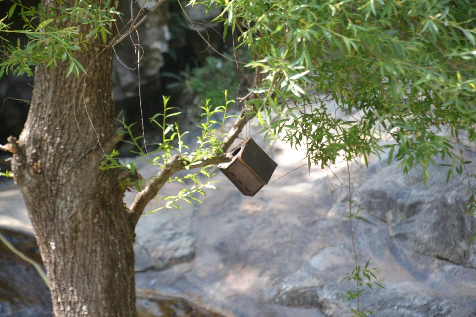 Moksha By The River,Jibhi Luaran gambar